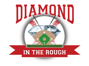 Diamond in the Rough Webster City logo
